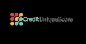 Credit Unique Score