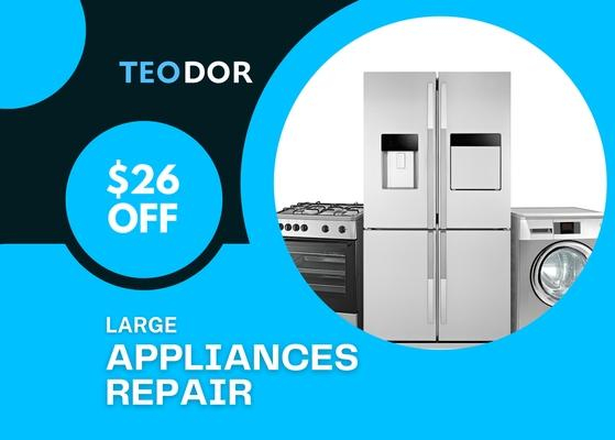 Appliance repair Teodor