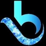 Blue Creek Digital LLC